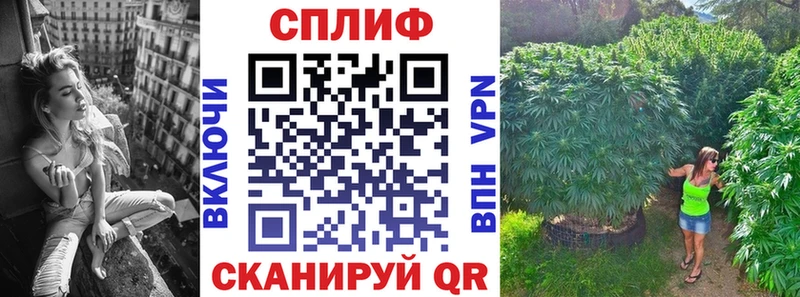 Бошки Шишки конопля  Купить где  Далматово 